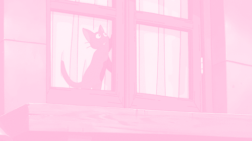 bg8
